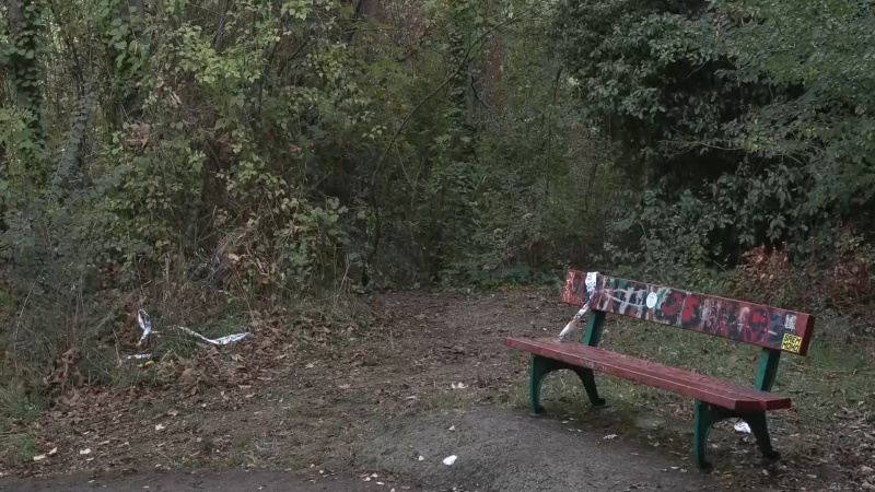 Hromadné znásilnění studentky pobouřilo Pamplonu. Policie viní migranty, měli být deportováni