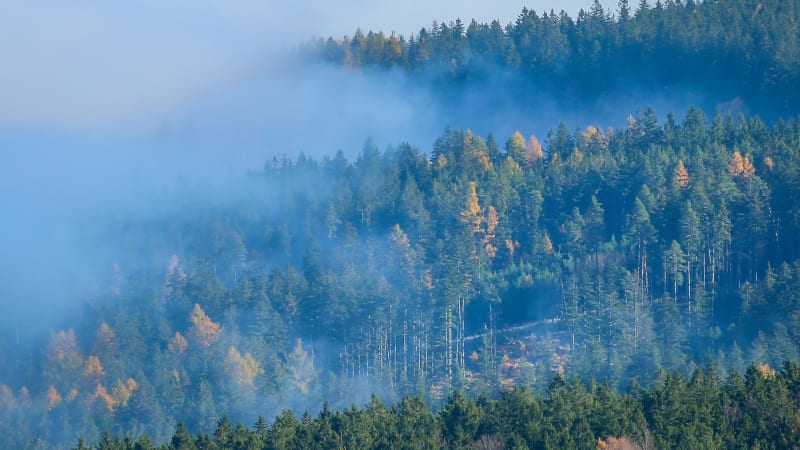 Na Šumavě bylo jako v létě: Meteorologové naměřili na horách díky inverzi přes 20 stupňů