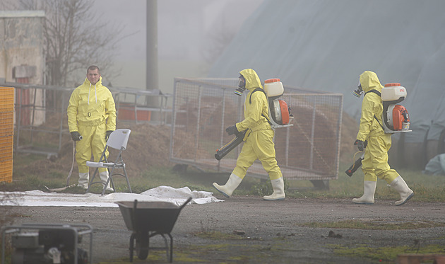 Veterináři mají stávkovou pohotovost. Škrty ohrožují bezpečnost potravin, tvrdí