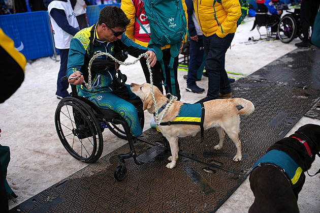 Čtyřnozí členové týmů. Paralympioniky na hrách doprovázelo šest asistenčních psů
