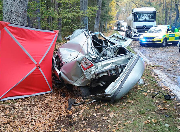 Řidič u Předboje nedaleko Prahy narazil do stromu, nehodu nepřežil
