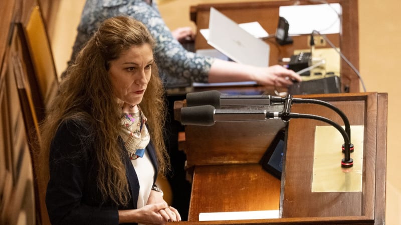 Antikoncepce zdarma? Téma zvedla Decroix z ODS. Vojtěch se nebrání diskuzi, má však podmínky