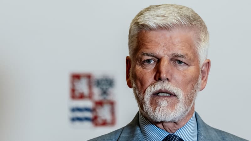 Pavel udělil čtyři milosti. Na svobodu míří nemocný podvodník nebo odsouzená samoživitelka