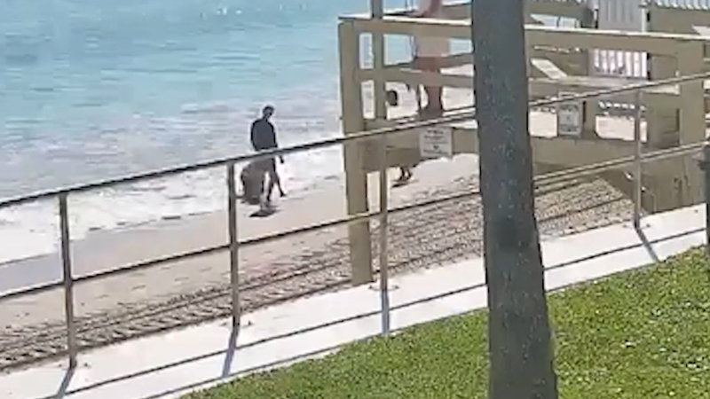 Žena v USA zachránila z rozbouřeného moře muže. Šlo o vraha prchajícího před policií