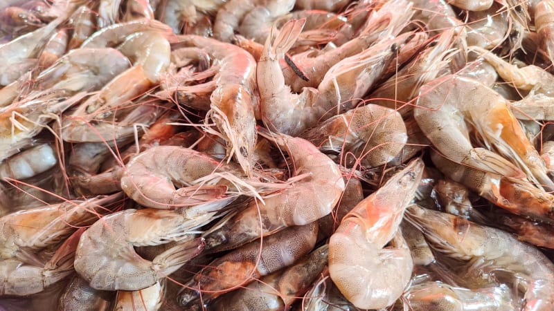 Chřipka mořských plodů? Na lidi z nich přeskočil nový virus, napadá zrak