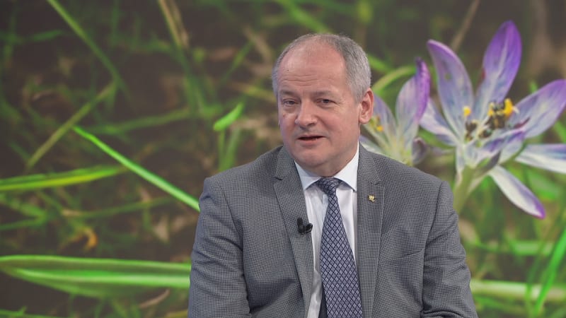 Prymula o riziku zákeřné nemoci v Česku: Hrozbou bude brzy, pomáhají současné podmínky